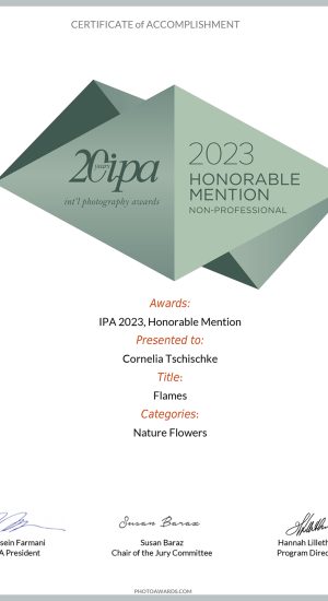 ipa-awards-2023